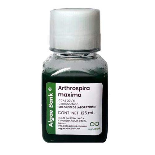 Arthrospira maxima (Spirulina)