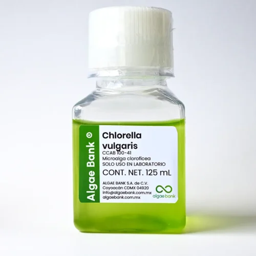 compra en MÉXICO CULTIVO EN medio líquido de la microalga chlorella vulgaris